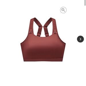 Women's Burgundy Wireless Sports Bra